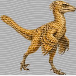 Animal Text Series-AT 3791